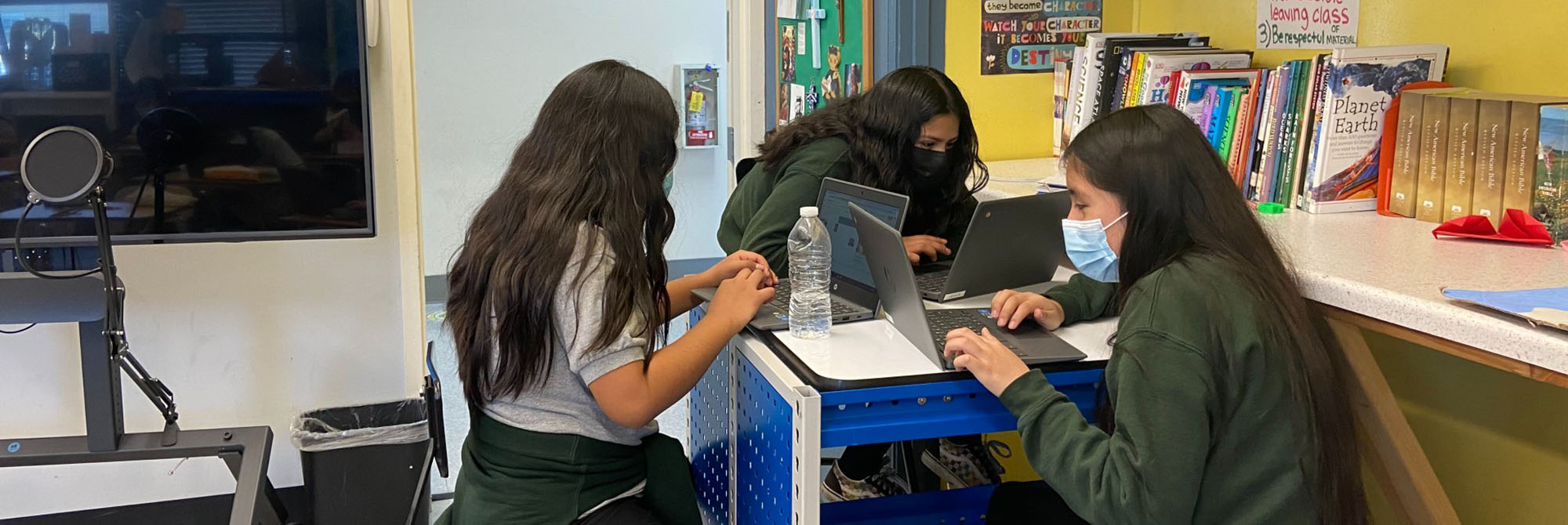 Stem Lab